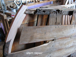 stem repair